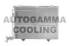 CHRYS 5096844AA Condenser, air conditioning